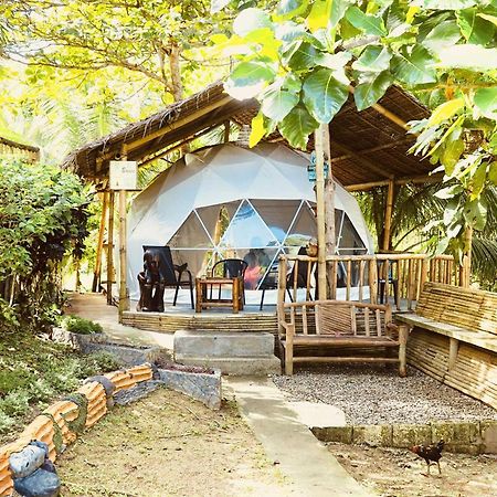 Eco Glamping Treehouses Closest Resort To All Tourist Attractions Balilihan エクステリア 写真
