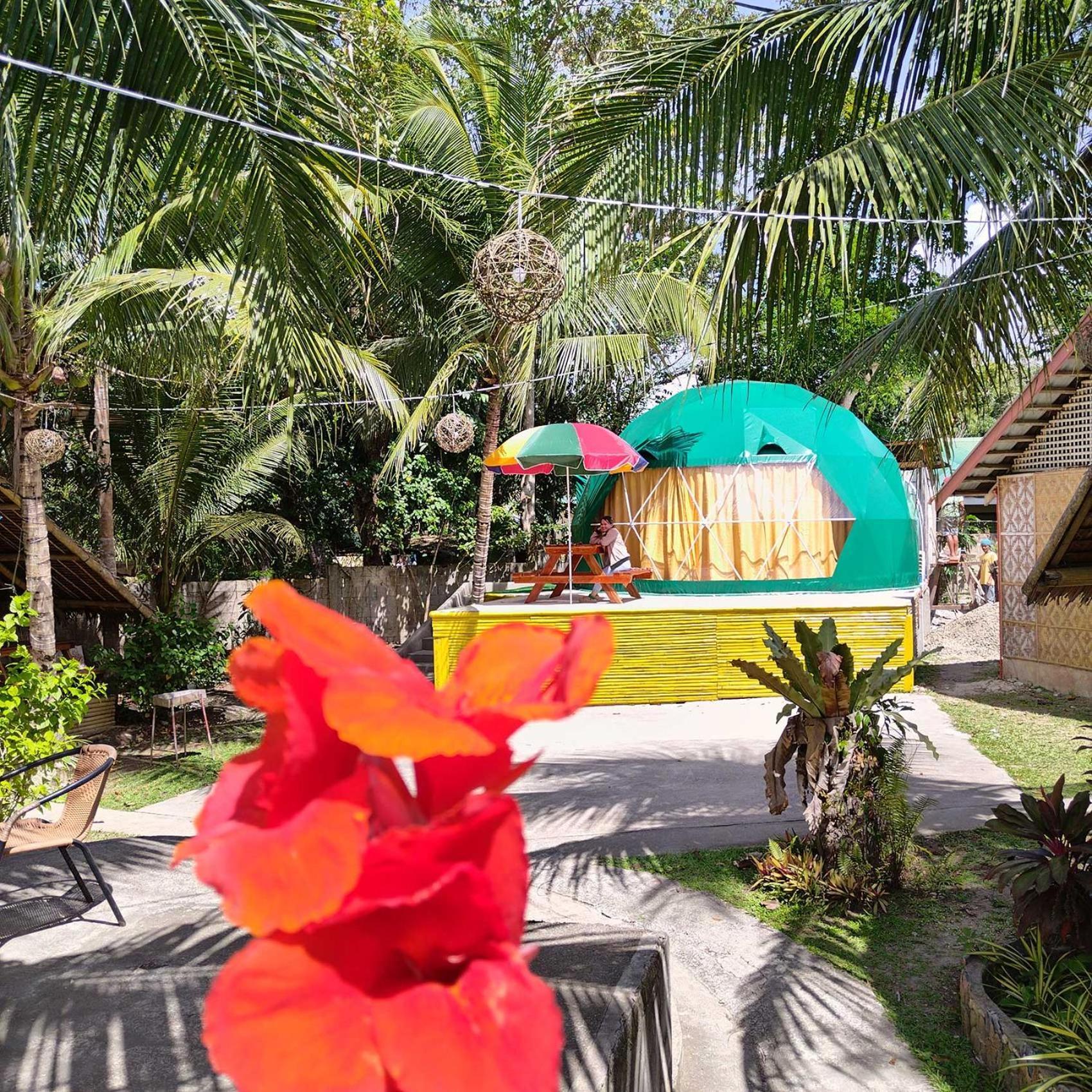 Eco Glamping Treehouses Closest Resort To All Tourist Attractions Balilihan エクステリア 写真