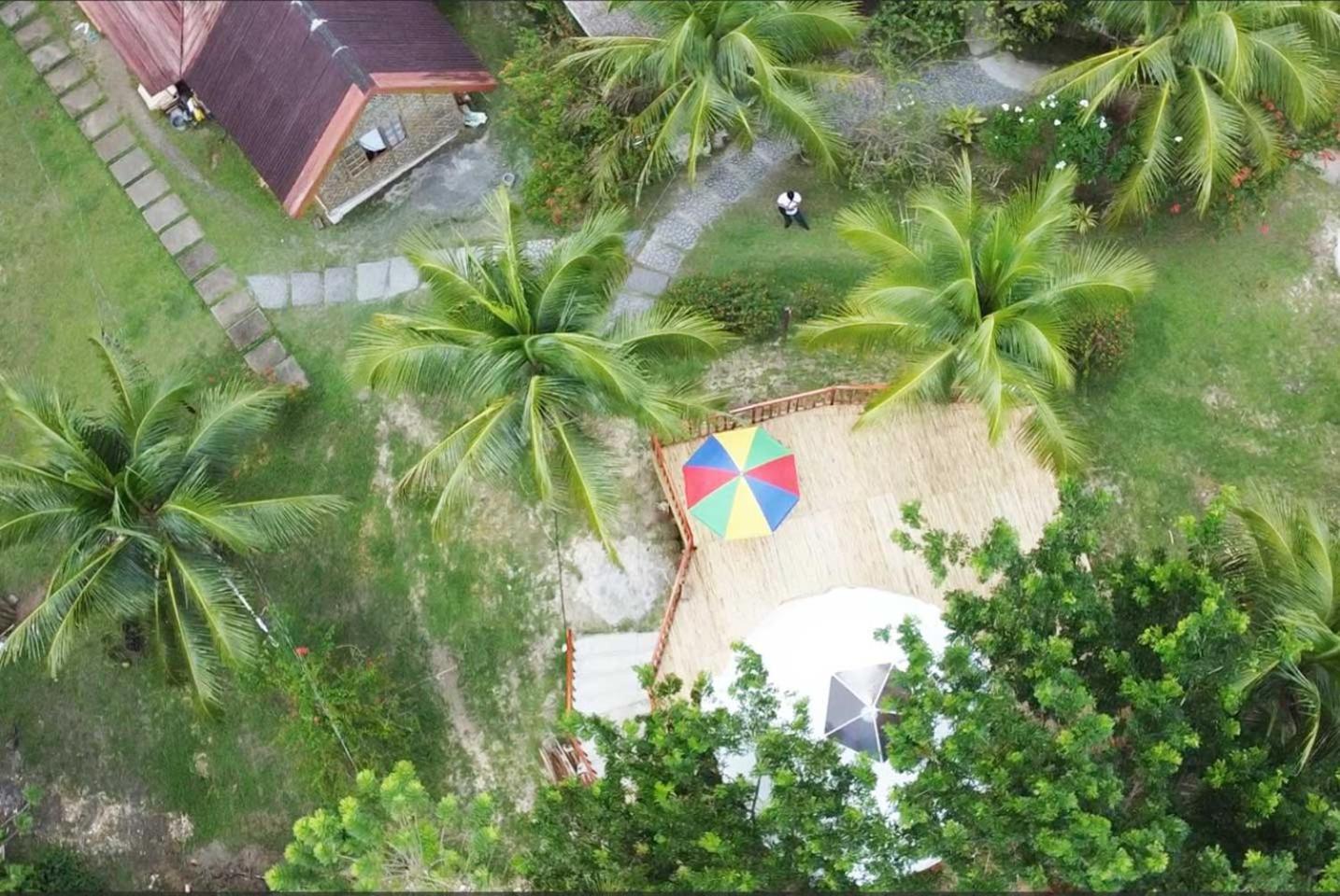 Eco Glamping Treehouses Closest Resort To All Tourist Attractions Balilihan エクステリア 写真