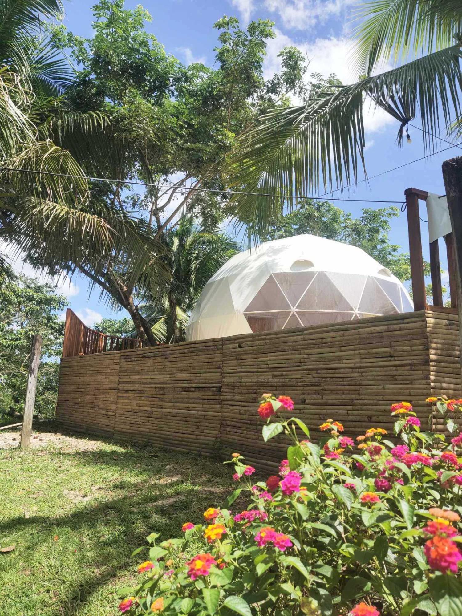 Eco Glamping Treehouses Closest Resort To All Tourist Attractions Balilihan エクステリア 写真